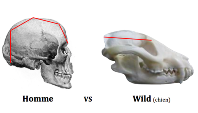 Capture d’écran 2019-04-17 à 17.14.29.png