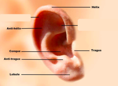 Capture d’écran 2019-04-17 à 18.58.15.png