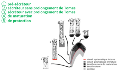 Capture d’écran 2019-04-17 à 22.59.50.png