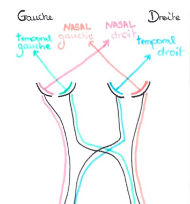 Capture d’écran 2019-04-21 à 15.36.27.png