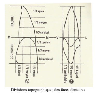 Capture d’écran 2019-04-22 à 07.51.13.png