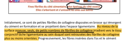 Capture d’écran 2019-04-22 à 11.38.47.png