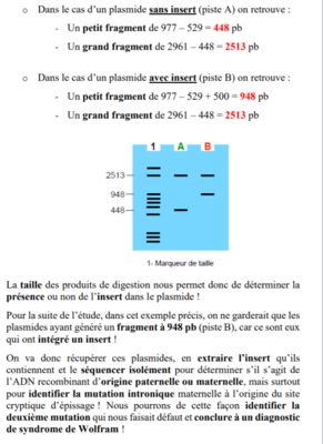 carte de restriction.png