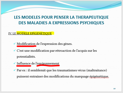 modèle éigénétique.PNG