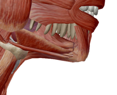 Capture d’écran 2019-05-01 à 11.00.40.png