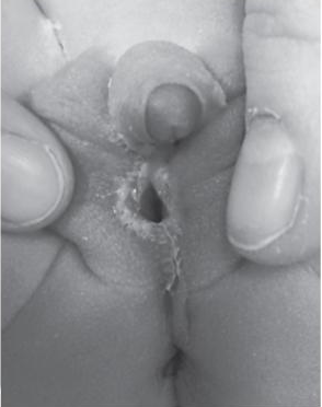 Capture d’écran 2019-05-01 à 19.08.42.png