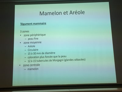 Photo 18-04-2019 10 34 57.jpg