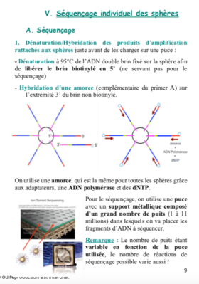 Capture d’écran 2019-05-10 à 21.35.24.png