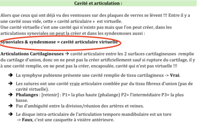 Capture d’écran 2019-05-12 à 20.21.51.png