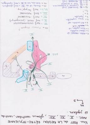 vue post region retro stylienne.jpg