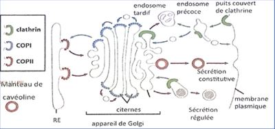 Capture d’écran 2019-08-17 à 12.02.21.png