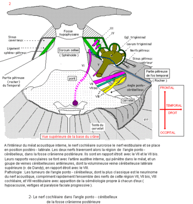 8C2.gif