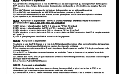 Capture d’écran 2019-08-30 à 19.58.29.png