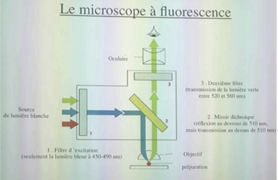 Capture d’écran 2019-09-01 à 21.09.37.png