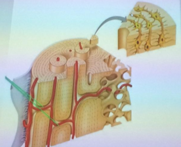 Capture d’écran 2019-09-02 à 09.08.58.png