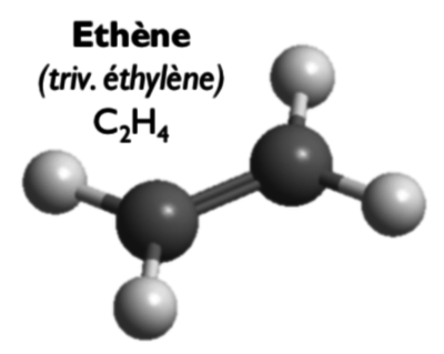 Capture d’écran 2019-09-03 à 19.31.52.png