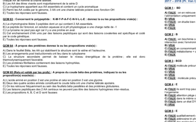 Capture d’écran 2019-09-03 à 19.42.37.png