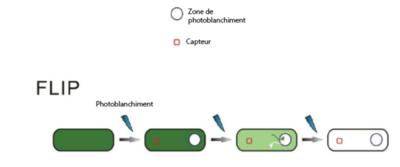 Capture d’écran 2019-09-04 à 17.32.32.png