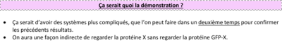 Capture d’écran 2019-09-08 à 20.50.48.png
