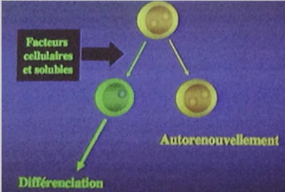 Capture d’écran 2019-09-09 à 16.24.41.png