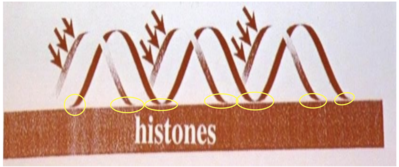 Capture d’écran 2019-09-14 à 12.13.19.png