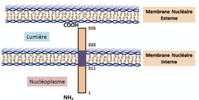 Capture d’écran 2019-10-01 à 21.28.25.png