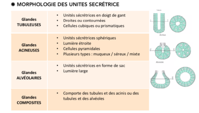 Capture d’écran 2019-10-02 à 12.14.07.png