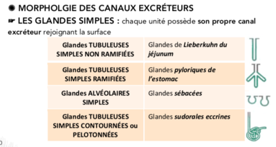 Capture d’écran 2019-10-02 à 12.14.35.png
