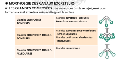 Capture d’écran 2019-10-02 à 12.22.22.png