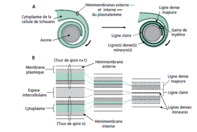 Capture d’écran 2019-10-03 à 10.45.52.png