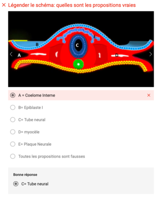 Capture d’écran 2019-10-03 à 16.14.40.png