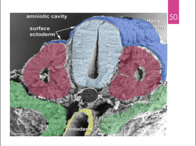Capture d’écran 2019-10-05 à 11.32.18.png