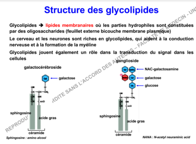 Capture d’écran 2019-10-09 à 01.28.07.png