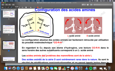 Capture d’écran 2019-10-09 à 14.11.27.png