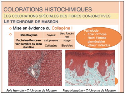Capture d’écran 2019-10-09 à 15.05.22.png
