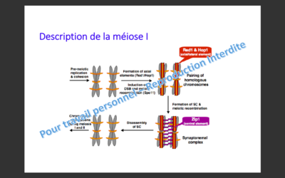 Capture d’écran 2019-10-09 à 16.02.40.png