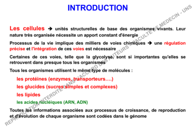 Capture d’écran 2019-10-09 à 13.23.27.png
