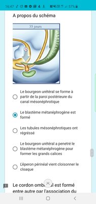 Screenshot_20191011-164756_Samsung Internet.jpg