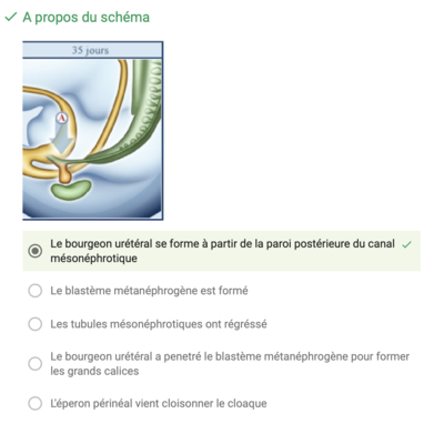 Capture d’écran 2019-10-14 à 14.57.54.png