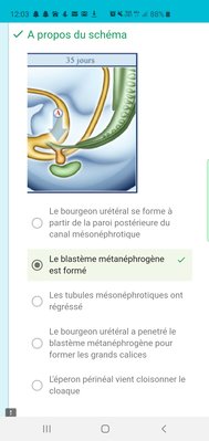 Screenshot_20191015-120315_Samsung Internet.jpg