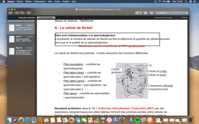 Capture d’écran 2019-10-16 à 12.46.31.png
