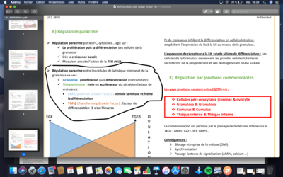 Capture d’écran 2019-10-16 à 19.39.56.png