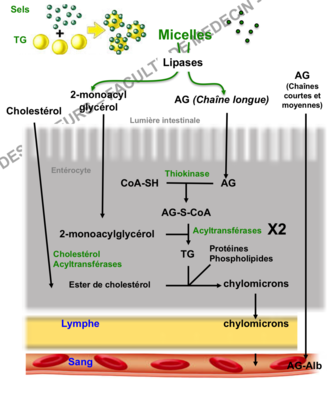 Capture d’écran 2019-10-18 à 08.50.57.png