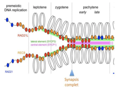 Capture d’écran 2019-10-18 à 19.01.23.png