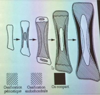 Capture d’écran 2019-10-19 à 11.57.19.png
