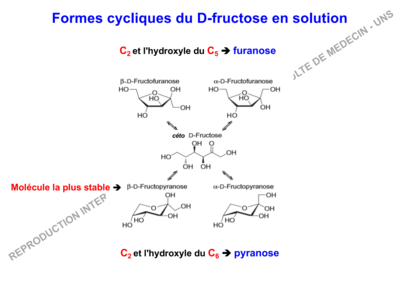 Capture d’écran 2019-10-20 à 12.33.41.png