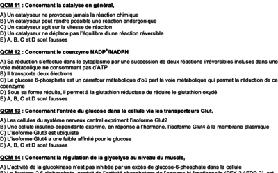 Capture d’écran 2019-10-23 à 12.05.31.png