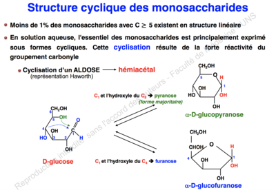 Screen Shot 2019-10-23 at 12.56.55.png