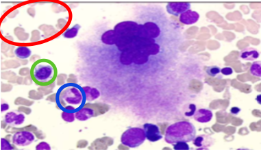 Capture d’écran 2019-10-23 à 15.23.47.png