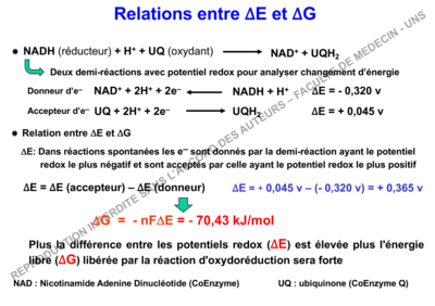 Capture d’écran 2019-10-24 à 17.13.34.png